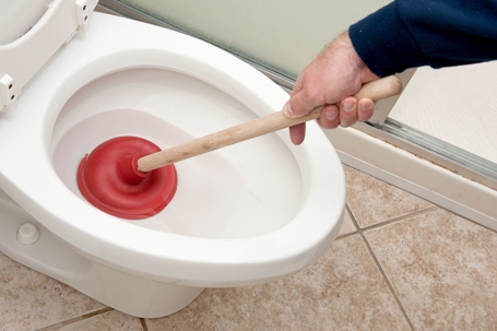 Picture of Toilet Plunger